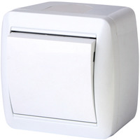 Выключатель одноклавишный e.aqua.1111.gr наружный IP44 "E.NEXT" s035051