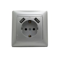 Розетка 1-а с/з внутрішня + гніздо 2 USB срібло "LEMANSO Сакура" LMR1331