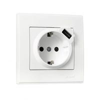 Розетка 1-а з/з + USB  внутрішня біла LEZARD Lesya 705-0202-181