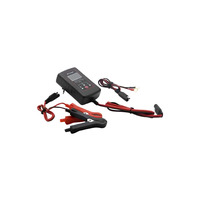Інтелектуальний імпульсний зарядний пристрій для акумулятора 12V 2A "LEMANSO" LM40402