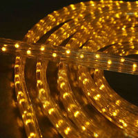 Дюралайт-лента 60LED IP68 жёлтая 2835SMD 230V 5W/м 360LM "LEMANSO" LM584