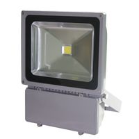 Прожектор светодиодный LED 100w 6500K IP65  серый "LEMANSO" LMP100